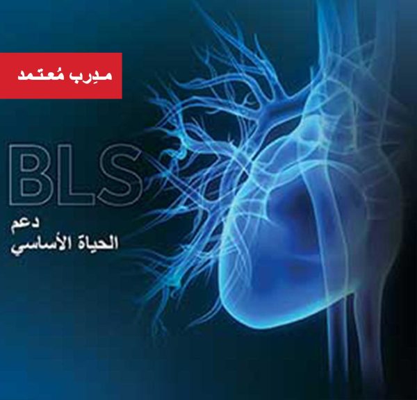 Basic Life Support (BLS)  (instructor)