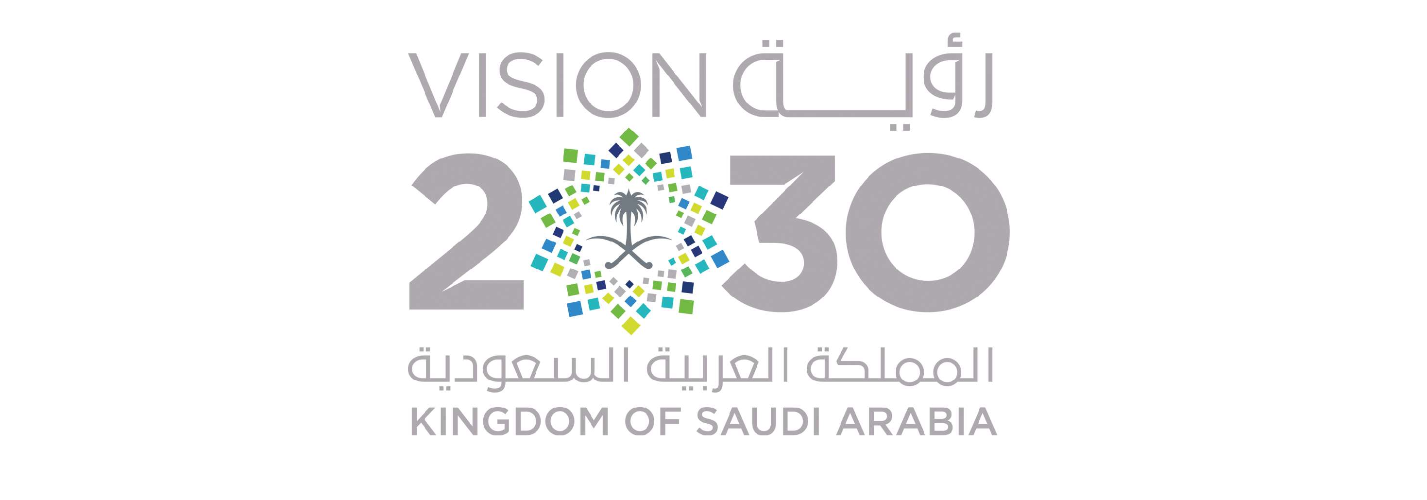 رؤية السعودية 2030 DAU University DAU University