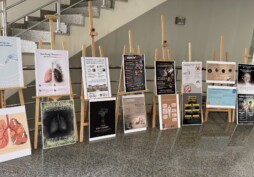 Designing Awareness Posters on the Dangers of E-cigarettes and Vaping